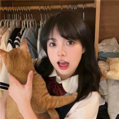 铁甲小宝